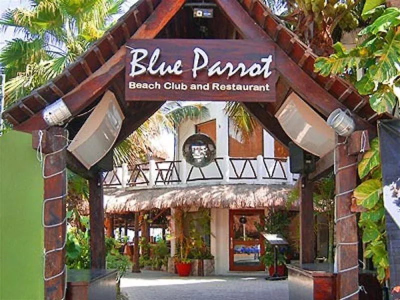 Blue Parrot Suites Playa del Carmen